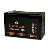 LiFePO4 Akku 12V 8Ah mit BMS (Batterie Management...